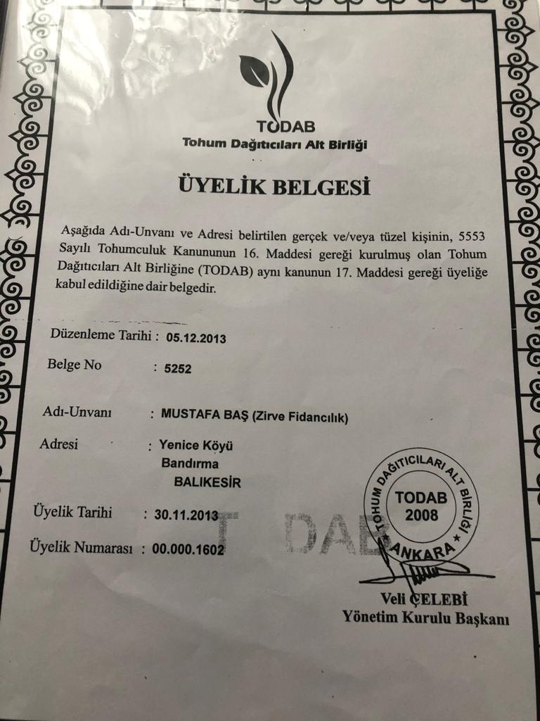 Fidancılık Yetki Belgesi