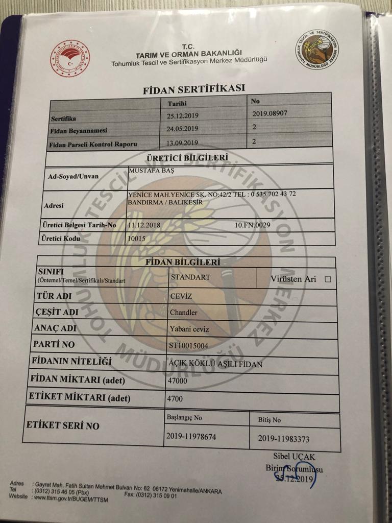 Mavi Etiketli Aşılı Ceviz Fidanı Sertifikası