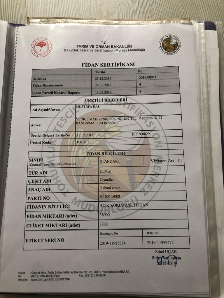 Fernor Aşılı Fidan Sertifikası