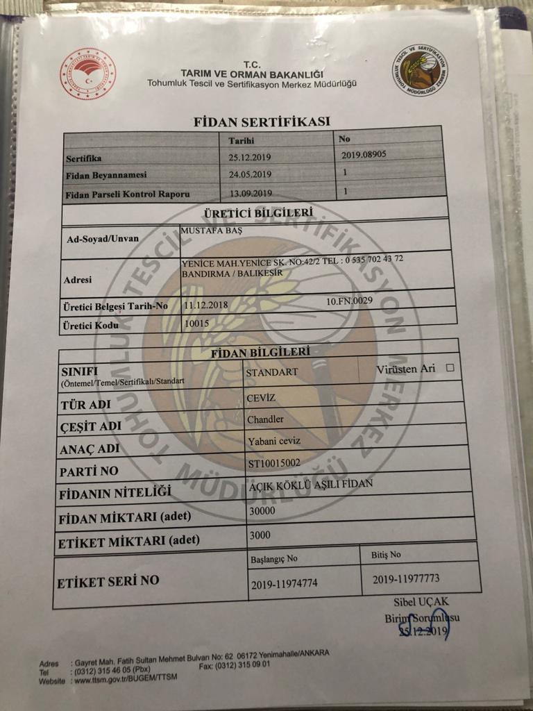 Fidanlık Denetim ve Sağlık Raporu