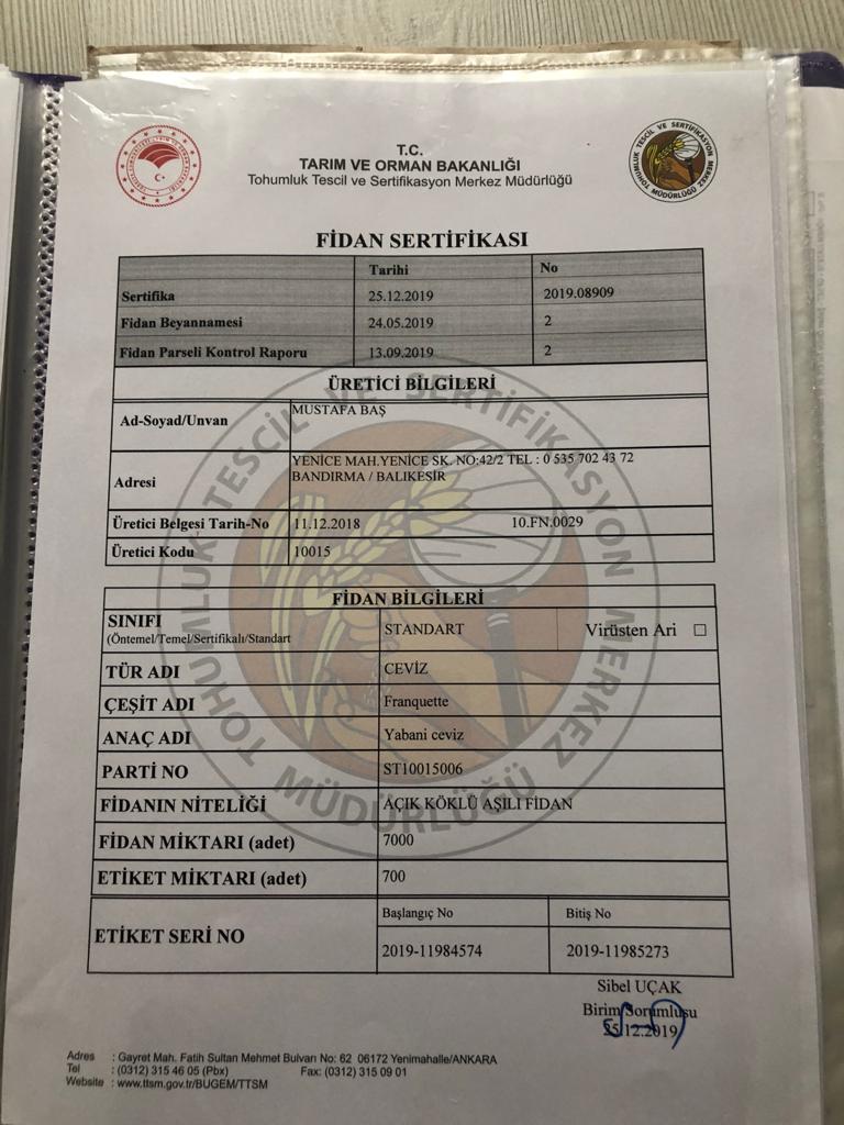 Standard Tohumluk / Fidan Sertifikası